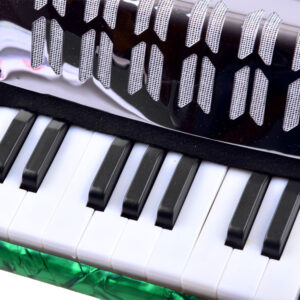 Vaikiškas didelis muzikinis akordeonas harmony IN0148 - Image 3