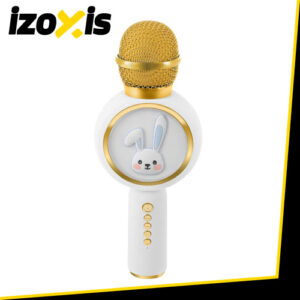 „Izoxis 27047“ belaidis karaoke mikrofonas, baltas - Image 6