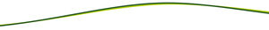 Juoda agrotekstilė 1,6x20m 50g/m2 Gardlov - Image 5