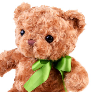 Pliušinis rudas meškiukas Plush ZA4455 - Image 3