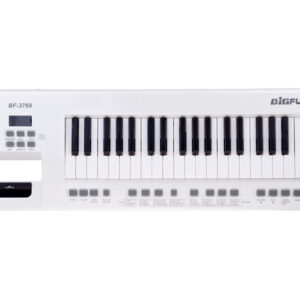 Elektrinis pianinas su mikrofonu, žaislinis instrumentas vaikams IN0173 - Image 4