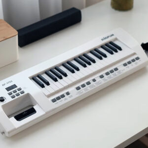 Elektrinis pianinas su mikrofonu, žaislinis instrumentas vaikams IN0173 - Image 5