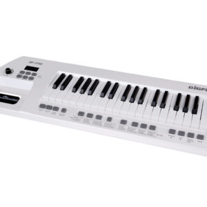 Elektrinis pianinas su mikrofonu, žaislinis instrumentas vaikams IN0173 - Image 6