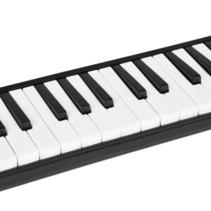 Muzikos instrumento Melody klavišinė armonikėlė, dėklas, du kandikliai IN0175 - Image 3
