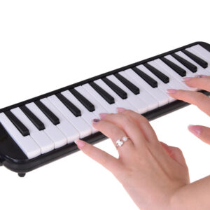 Muzikos instrumento Melody klavišinė armonikėlė, dėklas, du kandikliai IN0175 - Image 5