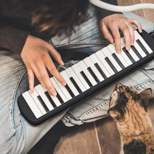 Muzikos instrumento Melody klavišinė armonikėlė, dėklas, du kandikliai IN0175 - Image 8