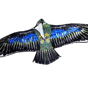 Didelis lengvas aitvaras BIRD Erelis – tikroviškas plėšrusis medžioklinis paukštis ZA5572 - Image 2