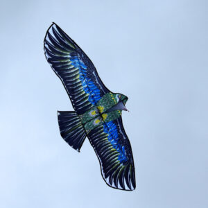 Didelis lengvas aitvaras BIRD Erelis – tikroviškas plėšrusis medžioklinis paukštis ZA5572 - Image 6