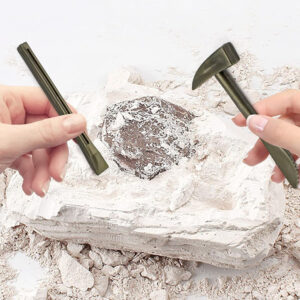 Archeologijos rinkinys „Dig Up a Surprise“ su fosilijų lapais ir kaulais ZA5753 - Image 5