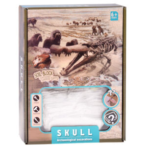 Archeologijos rinkinys „Dig Up Surprise Fossil Skulls“ ZA5754 - Image 5