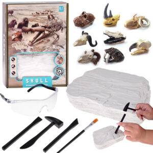 Archeologijos rinkinys „Dig Up Surprise Fossil Skulls“ ZA5754