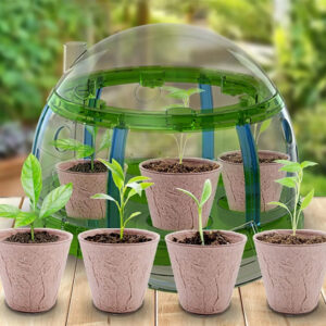 Little Gardener BIO rinkinys – šiltnamis, sėklos ir vazonai augalams auginti ZA5776 - Image 5