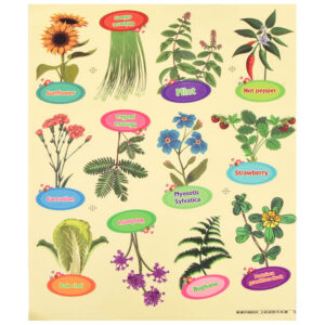 Little Gardener BIO rinkinys – šiltnamis, sėklos ir vazonai augalams auginti ZA5776 - Image 4