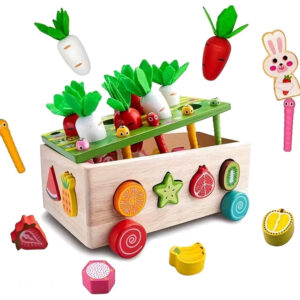 Montessori medinis rūšiuoklis vežimėlis pagauk kirmėlytę morkos dėlionė ZA5903 - Image 7