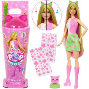 Mattel Barbie Pop Reveal lėlė iš serijos: Shake + katytė ir priedai ZA6061