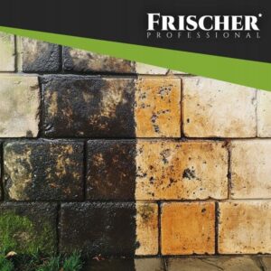 Frischer fasadų valiklis 1l - Image 3