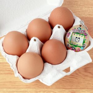 TAMAGOTCHI - ECO CELEBRATION EGG - Image 3