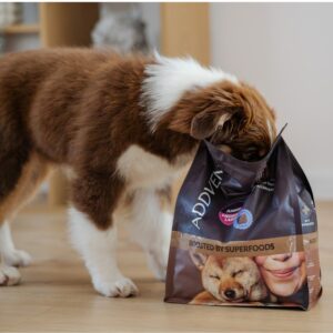 ADDVENA Boosted by superfoods Junior Medium/Large Beef - sausas maistas šunims - 10kg - Image 3
