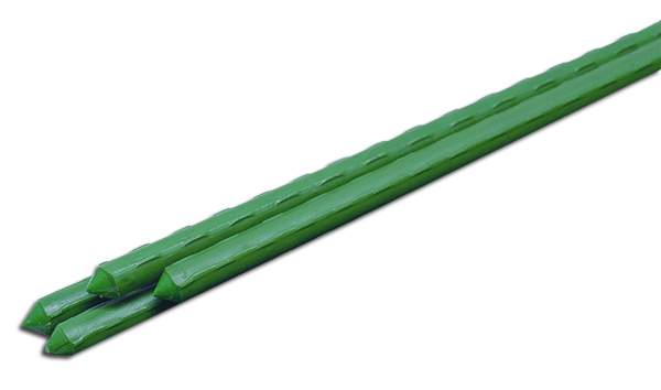 TYP16100