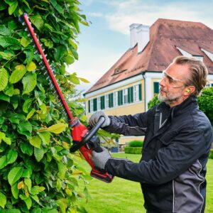 gyvatvorių žirklės 18V GP-CH 18/50 LI BL-SOLO 3410950 EINHELL - Image 3