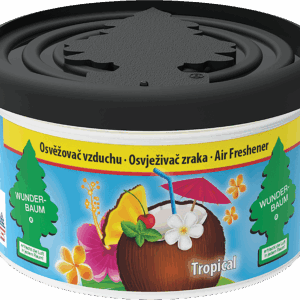 x WUNDER-BAUM FIBER CAN oro gaiviklis dėžutėje "TROPICAL"