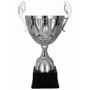 Sidabrinė metalinė taurė MUFAS 7221C - Image 2