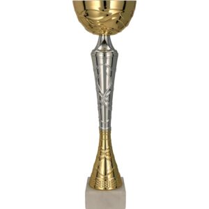 Metalinė taurė aukso-sidabro spalvos TUMA S 9215D