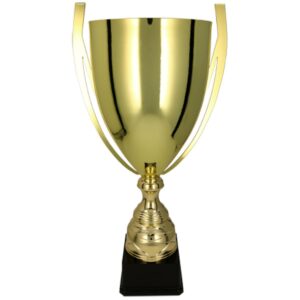 Auksinė metalinė taurė BASTER 1057C