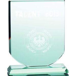 Stiklinis 3D graviruotas trofėjus su dėklu G001/3D