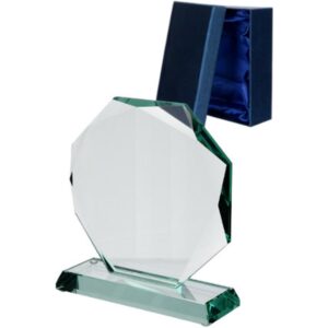 Stiklinis trofėjus su dėklu G020 - Image 2
