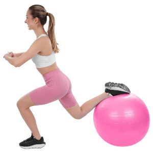 FINTESO GIMNASTIKOS KAMUOLYS 65CM ANTIBURST ROŽINIS 7076991 - Image 6