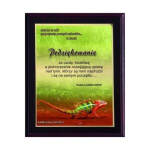 Plastikinis diplomas su „colour touch“ laminatu HG2550/G - Image 2