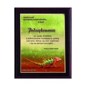 Plastikinis diplomas su „colour touch“ laminatu HG2552/G - Image 3