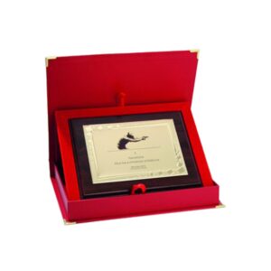 Plastikinis diplomas su graviruota metaline plokštele + dėklas HG424+ETUI - Image 3