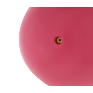 SVARSTINIS KAMUOLYS SU SVORIU 0,5KG ROŽINIS ENERO FIT 1048345 - Image 3