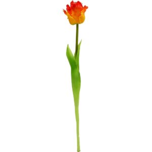 ORANŽINĖ TULPĖ 38CM KAIP GYVA PAVASARINĖ DEKORACIJA 1074924 - Image 8