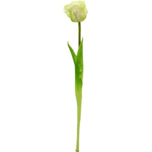 BALTA TULPĖ 38CM KAIP GYVA PAVASARINĖ DEKORACIJA 1074931 - Image 2