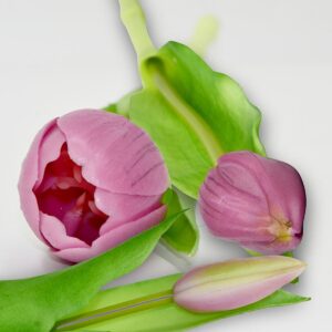 7 ŠVIESIAI VIOLETINIŲ TULPIŲ PUOKŠTĖ 31CM KAIP GYVOS PAVASARINĖ DEKORACIJA 1074962 - Image 6