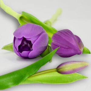 7 VIOLETINIŲ TULPIŲ PUOKŠTĖ 31CM KAIP GYVOS PAVASARIO DEKORACIJA 1074979 - Image 6
