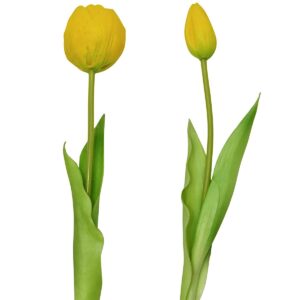 5 PEONIJŲ TULIPANŲ PUOKŠTĖ GELTONA 39CM KAIP GYVI PAVASARIO DEKORACIJA 1075136 - Image 4