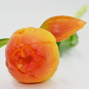 5 PEONIOWYCH TULIPANŲ PUOKŠTĖ ORANŽINĖ 39CM KAIP GYVI PAVASARIO DEKORACIJA 1075143 - Image 6