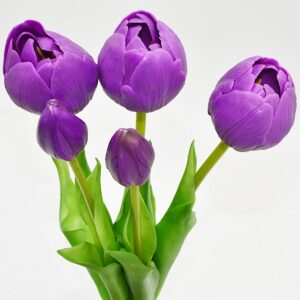 5 PEONIJŲ TULIPANŲ PUOKŠTĖ VIOLETINĖ 39CM KAIP GYVI PAVASARIO DEKORACIJA 1075150 - Image 10