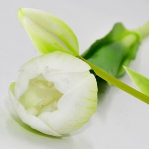 5 BALTŲ TULIPANŲ PUOKŠTĖ 39CM KAIP GYVI PAVASARIO DEKORACIJA 1075211 - Image 6