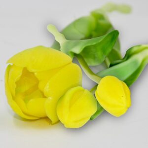 5 GELTONŲ TULIPANŲ PUOKŠTĖ 39CM KAIP GYVI PAVASARIO DEKORACIJA 1075228 - Image 6