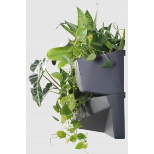 VERTIKALUS SODAS GĖLĖMS 4SET ANTRACITO SPALVOS 289922 - Image 9