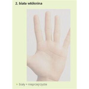 TINKLELIS NUO UODŲ STOGO LANGUI 140X170 BALTAS POLIESTERIS+LIPNI JUOSTELĖ 9000519 - Image 7