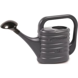 LAISTYTUVAS ZEBRA 5L ANTRACITO SPALVOS 265285