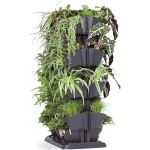 VERTIKALUS SODAS GĖLĖMS PASTATOMAS ANTRACITO SPALVOS 289908 - Image 2