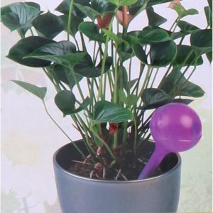 AUTOMATINĖ LAISTYMO SISTEMA DOZATORIUS RUTULYS AUGALAMS 250ML VIOLETINIS 1056593 - Image 4