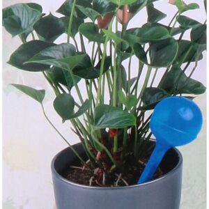AUTOMATINĖ LAISTYMO SISTEMA DOZATORIUS RUTULYS AUGALAMS LAISTYTI 250ML MĖLYNAS 1056623 - Image 4